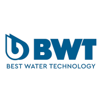 Bwt